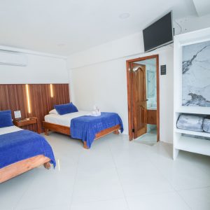 Habitación Doble Twin